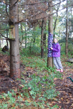 Landart et tema til undervisning i billedkunst.