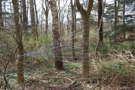 Landart et tema til undervisning i billedkunst.