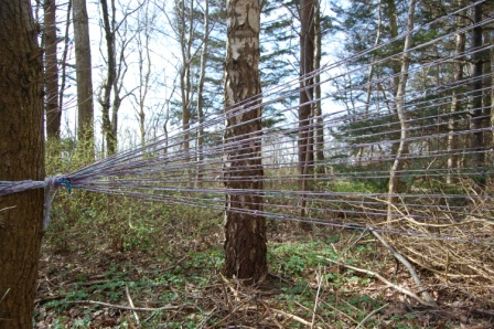 Landart et tema til undervisning i billedkunst.