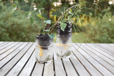 Flasker upcycles til urtepotter med automatisk vanding. Natur og teknik