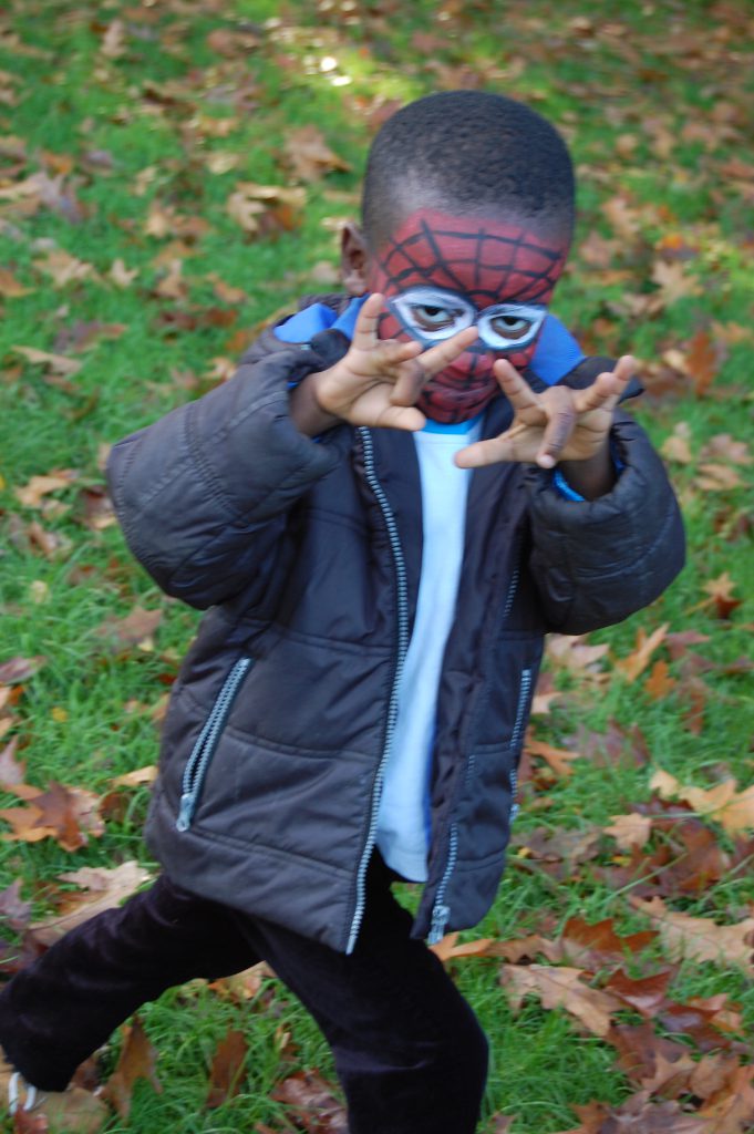 Spider
