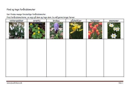 Eleverne finder blomster og tegner dem. Undervisnings opgave. Udeskole.