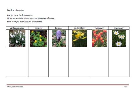 Eleverne finder blomster og tegner dem. Undervisnings opgave. Udeskole.