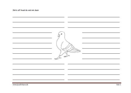 Skrive ark til faglitteratur med due