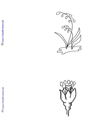 A6 kort der kan males eller farvelægges. Undervisning. blomster og forår.