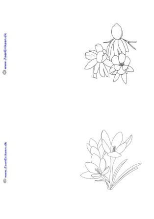 A6 kort der kan males eller farvelægges. Undervisning i forår og blomster.