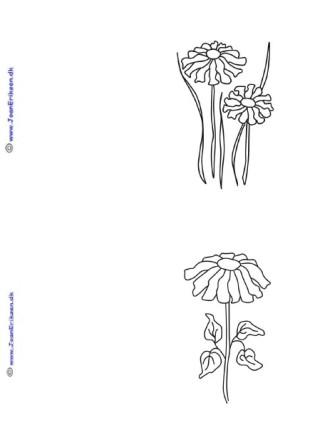 A6 kort der kan males eller farvelægges. Undervisning. blomster og forår.