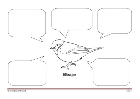 Skriveark med talebobler til undervisning i temaet fugle