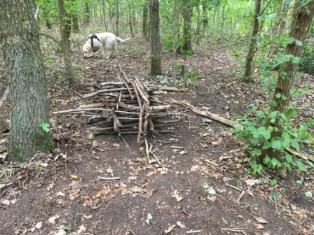 Landart i billedkunst. Information og elevopgaver.