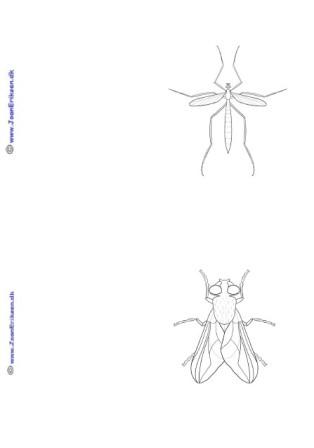 A6 kort der kan males eller farvelægges. Undervisning i temaet Insekter.