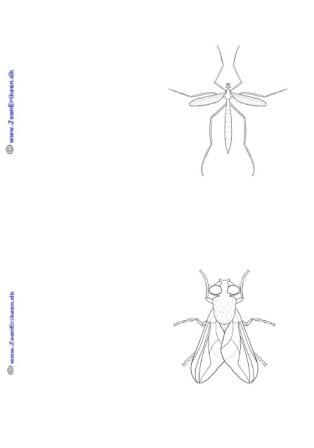 A6 kort der kan males eller farvelægges. Undervisning i temaet Insekter.