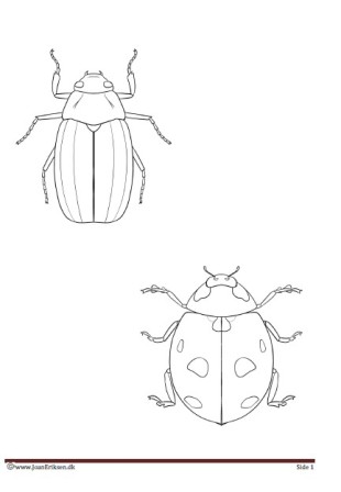Maleside til undervisningen i temaet insekter.