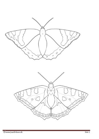 Maleside til undervisningen i temaet insekter.