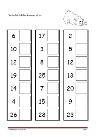 Elevopgave til undervisning i talrækken i matematik. Beta.