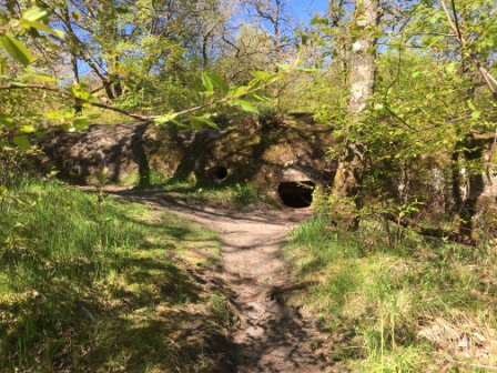 Blåbjerg klitplantage 1861-1905. Udflugter og lejerskoler. bunker fra 2. verdenskrig.