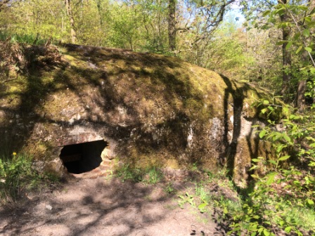 Blåbjerg klitplantage 1861-1905. Udflugter og lejerskoler. bunker fra 2. verdenskrig.