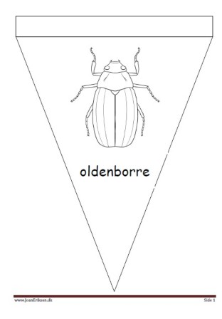 Vimpel til ophængning i klasseværelset. Undervisning i temaerne efterår og insekter.