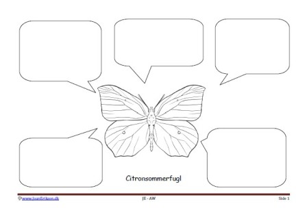 Skriveark med talebobler til undervisning i insekter.