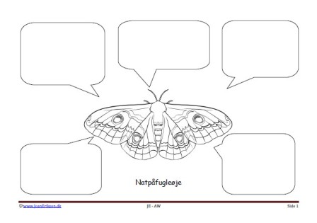 Skriveark med talebobler til undervisning i insekter. Natpåfugleøje