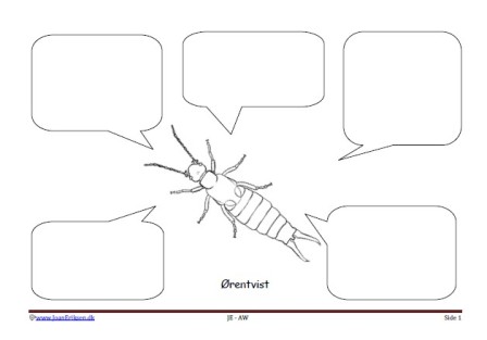 Skriveark med talebobler til undervisning i insekter. Ørentvist