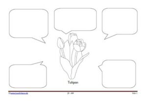 Skriveark med talebobler til undervisning i insekter. Tulipan