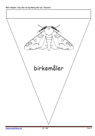 Vimpel til ophængning i klasseværelset. Undervisning i temaerne insekter, forår, sommer.