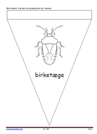 Vimpel til ophængning i klasseværelset. Undervisning i temaerne insekter, forår, sommer, skoven.