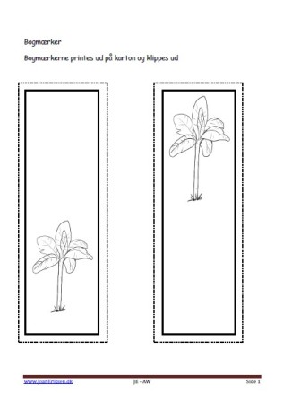 B der kan males eller farvelægges, Undervisning i billedkunst og temaerne ferie, planter, Pirater og sørøver.