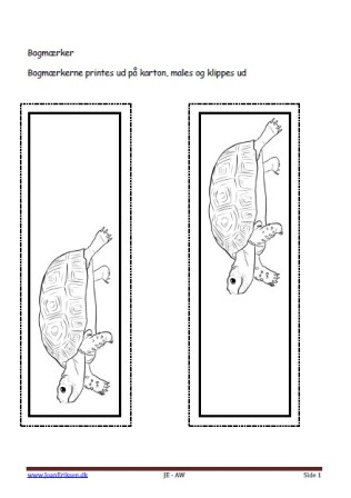 B der kan males eller farvelægges, Undervisning i billedkunst og temaet zoologisk have skildpadde.