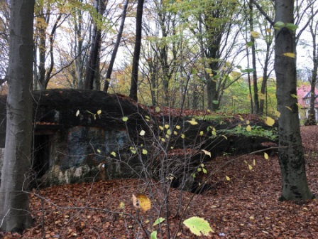 Foto til undervisning i temaet 2. verdenskrig. bunker i skoven.