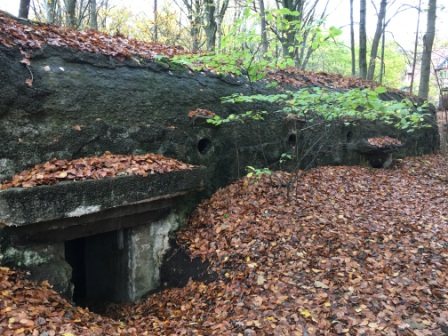 Foto til undervisning i temaet 2. verdenskrig. bunker i skoven.