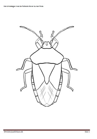 Vimpel til ophængning i klasseværelset. Undervisning i temaerne. Insekter, skoven. Birketæge.