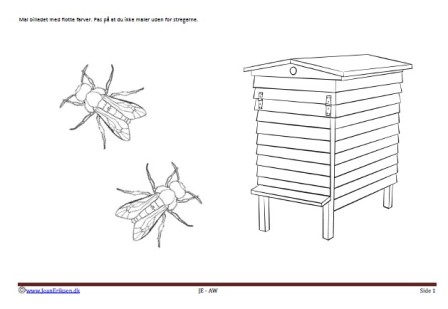 Maleside til brug i undervisningen til temaerne soven og insekter.