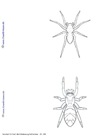 A6 kort der kan males eller farvelægges. Undervisning. edderkopper.