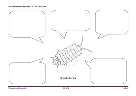 Beskriv med talebobler. Skriveark til undervisning i skolen. Faglitteratur og børnestavning. Bibliotek. Bænkebider, smådyr.