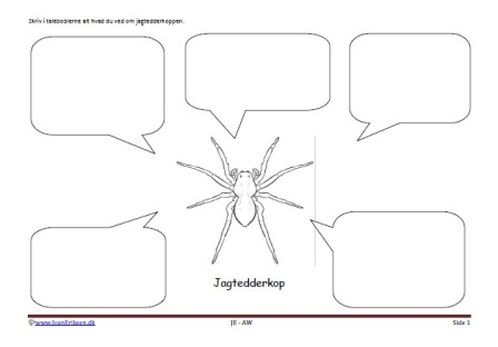 Beskriv med talebobler. Skriveark til undervisning i skolen. Faglitteratur og børnestavning. Edderkop.