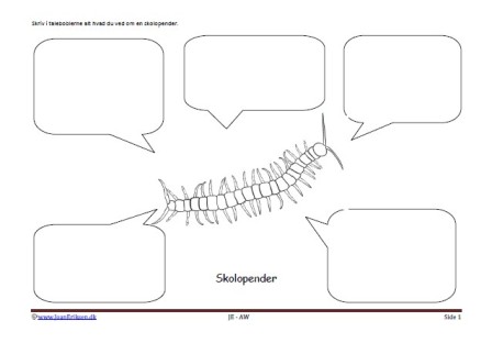 Beskriv med talebobler. Skriveark til undervisning i skolen. Faglitteratur og børnestavning. Skolopender.