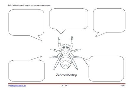 Beskriv med talebobler. Skriveark til undervisning i skolen. Faglitteratur og børnestavning. Zebraedderkop.