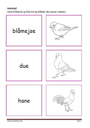 Huskespil, memory til undervisningen i indskolingen og mellemtrinnet. Fugle.