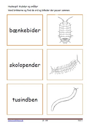 Huskespil, memory til undervisningen i indskolingen og mellemtrinnet. Krybdyr og smådyr.