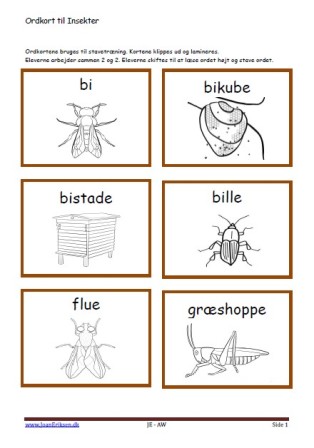 Stavekort og ordkort til undervisningen i indskolingen og mellemtrinnet. Insekter.