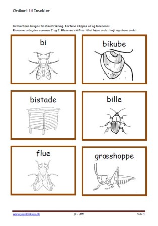 Stavekort og ordkort til undervisningen i indskolingen og mellemtrinnet. Insekter.