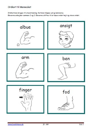 Stavekort og ordkort til undervisningen i indskolingen og mellemtrinnet. Mennesket.