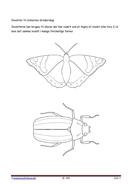 Verdensbroderidag, Skolernes broderidag. Biodiveristet. Håndværk og design. Insekter.