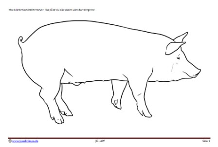 Maleside med gris til undervisning i temaerne landbrug og pattedyr.