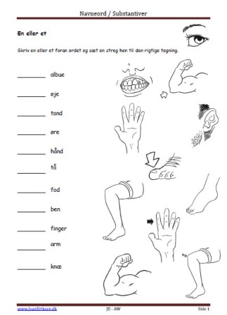 Navneord, Substantiver, En eller et, Elevopgave, Undervisning, Mennesket,