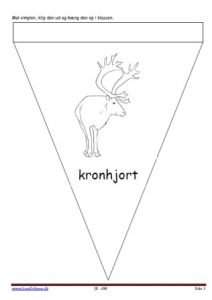 Vimpel, Malebog, Indskoling, Mellemtrin, Kronhjort, Skoven, Pattedyr,