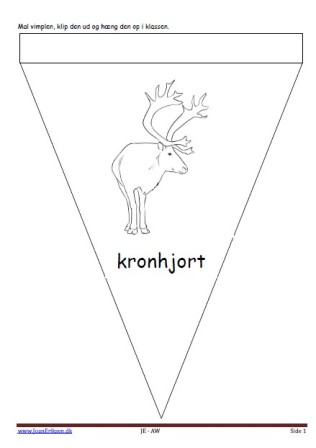 Vimpel, Malebog, Indskoling, Mellemtrin, Kronhjort, Skoven, Pattedyr,