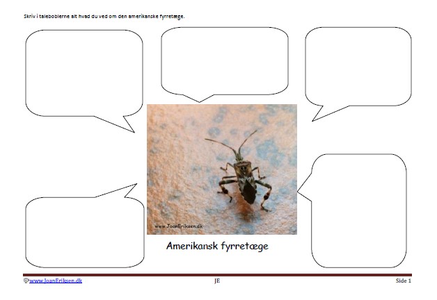 Skrivløs ark. Børnestavning, Indskoling, mellemtrin, Faglitteratur. Insekter, Tæge,