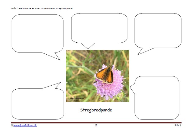 Skrivløs ark. Børnestavning, Indskoling, mellemtrin, Faglitteratur. Insekter, Sommerfugl,